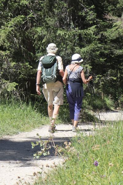 Two individuals are seen from behind, walking along a sun-dappled dirt path through a dense forest
